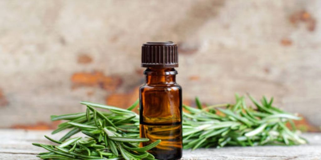 right rosemary oil
