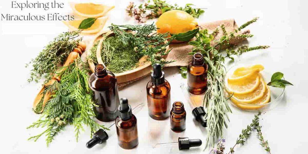 Exploring Key Oil Varieties