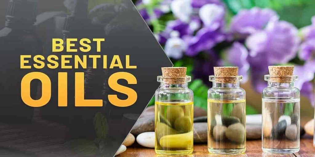 Exploring the Power of Essential Oils