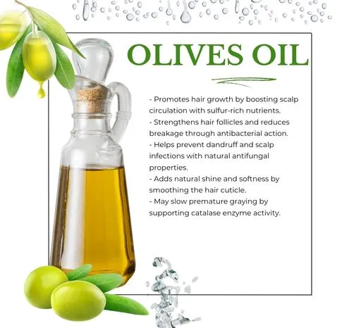 Olive oil for hair